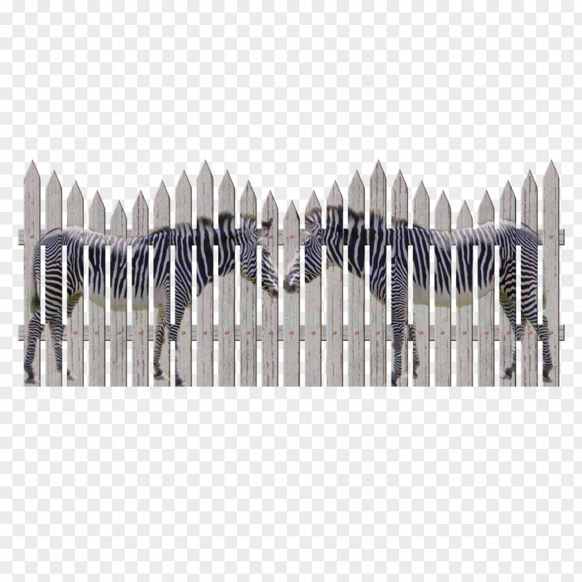 Fence Picket Garden House Gate PNG