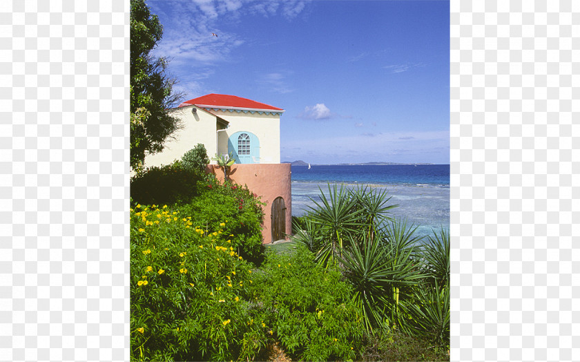 Island Caye Chapel Pusser's Marina Cay Resort Scrub Resort, Spa & Marina, Autograph Collection PNG