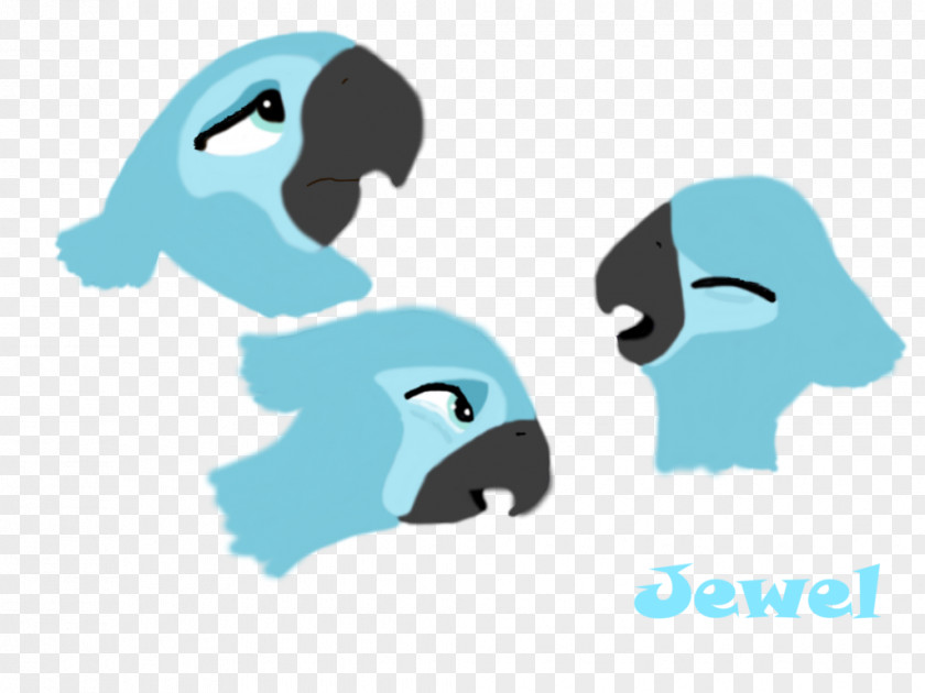 Jwel Logo Illustration Flightless Bird Brand PNG