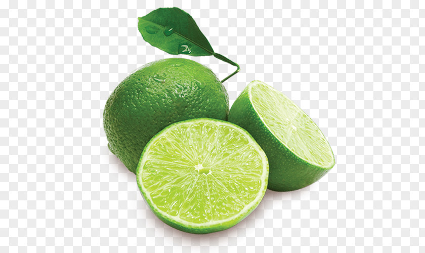 Lemon Mexican Cuisine Key Lime Persian PNG