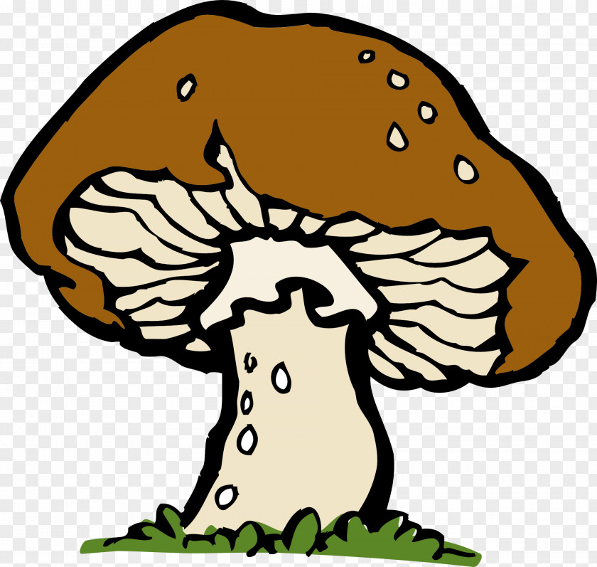 Wild Mushrooms Mushroom Morchella Free Content Clip Art PNG