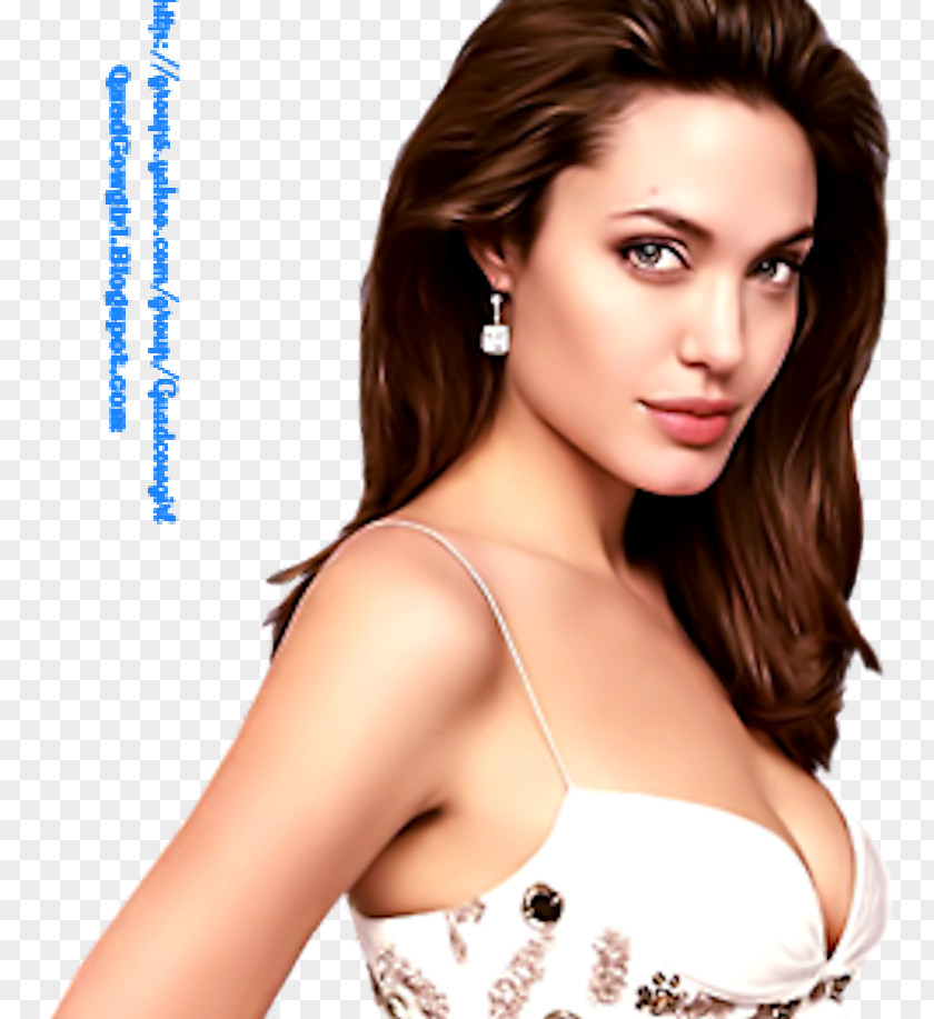 Angelina Jolie Hollywood Actor Film Director Female PNG