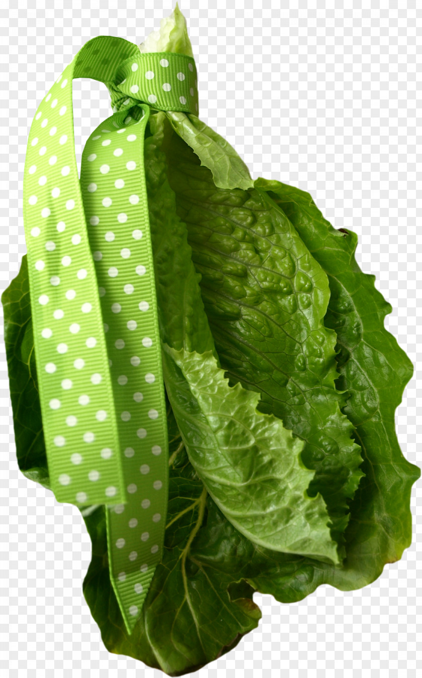 Anthurium Vegetarian Food Green Leaf Background PNG