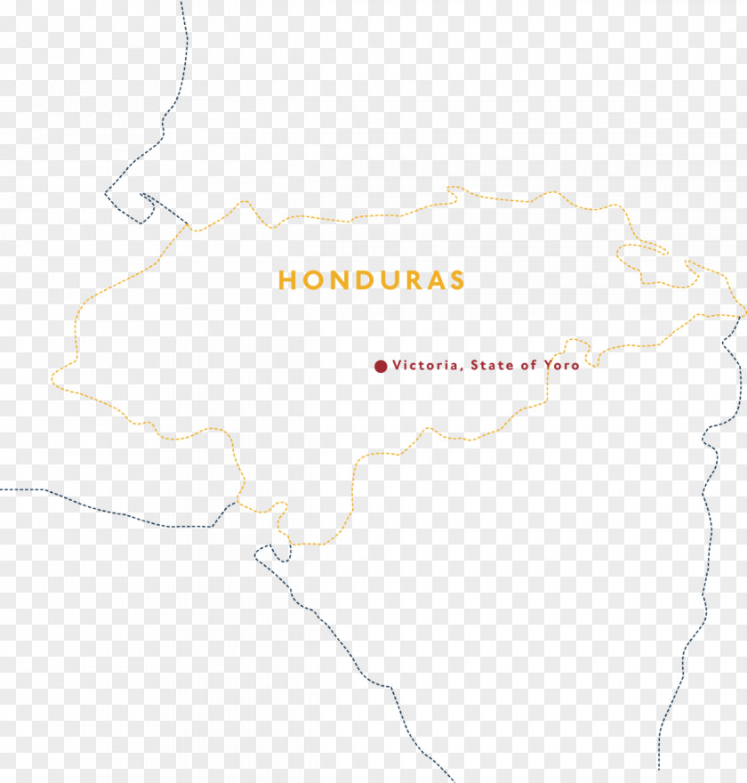 Design Map Tuberculosis PNG