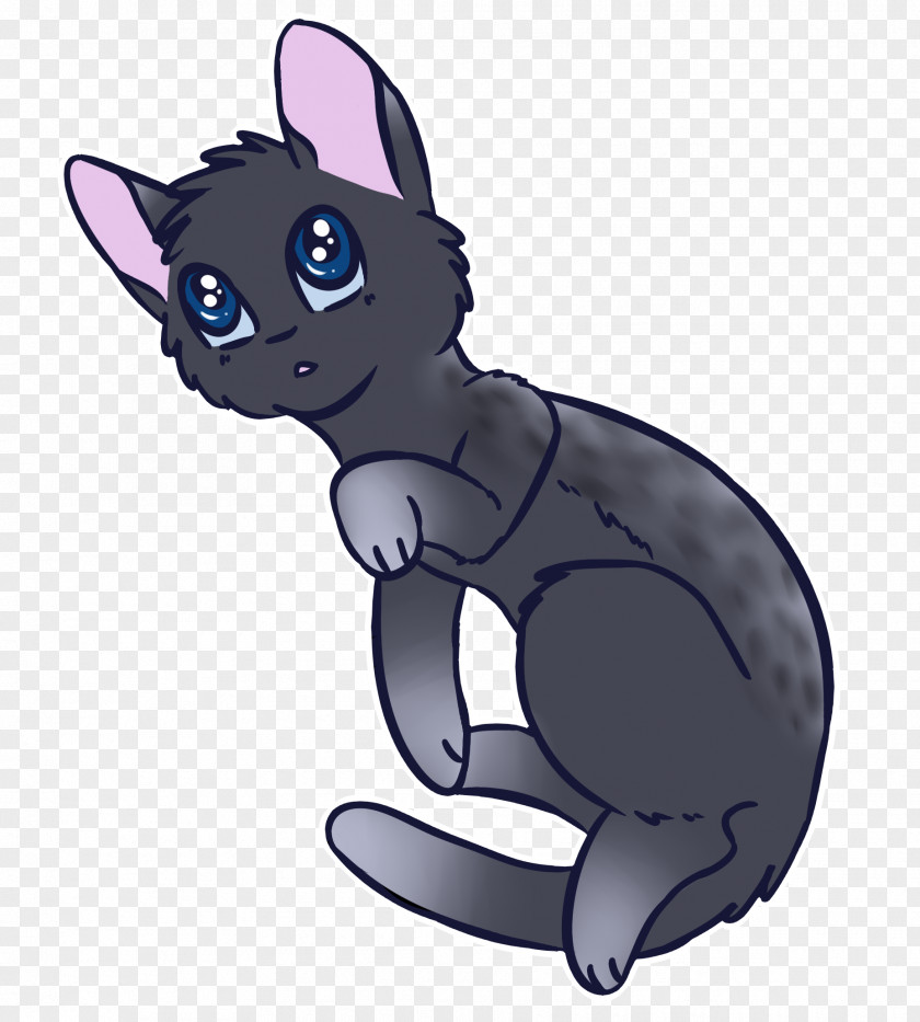 Kitten Whiskers Black Cat Horse PNG