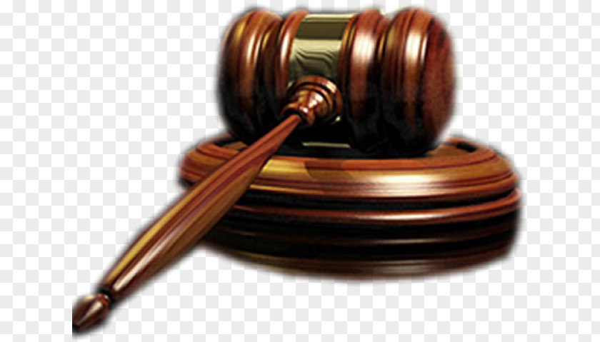 Lawyer McDermott Law Group, LLC Firm DiBella And Associates, PNG