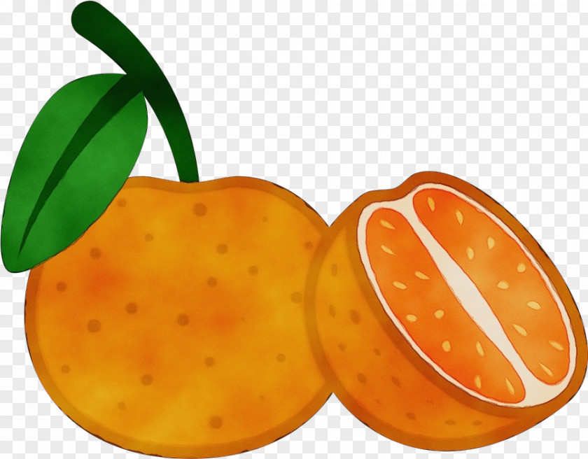 Natural Foods Grapefruit Orange PNG