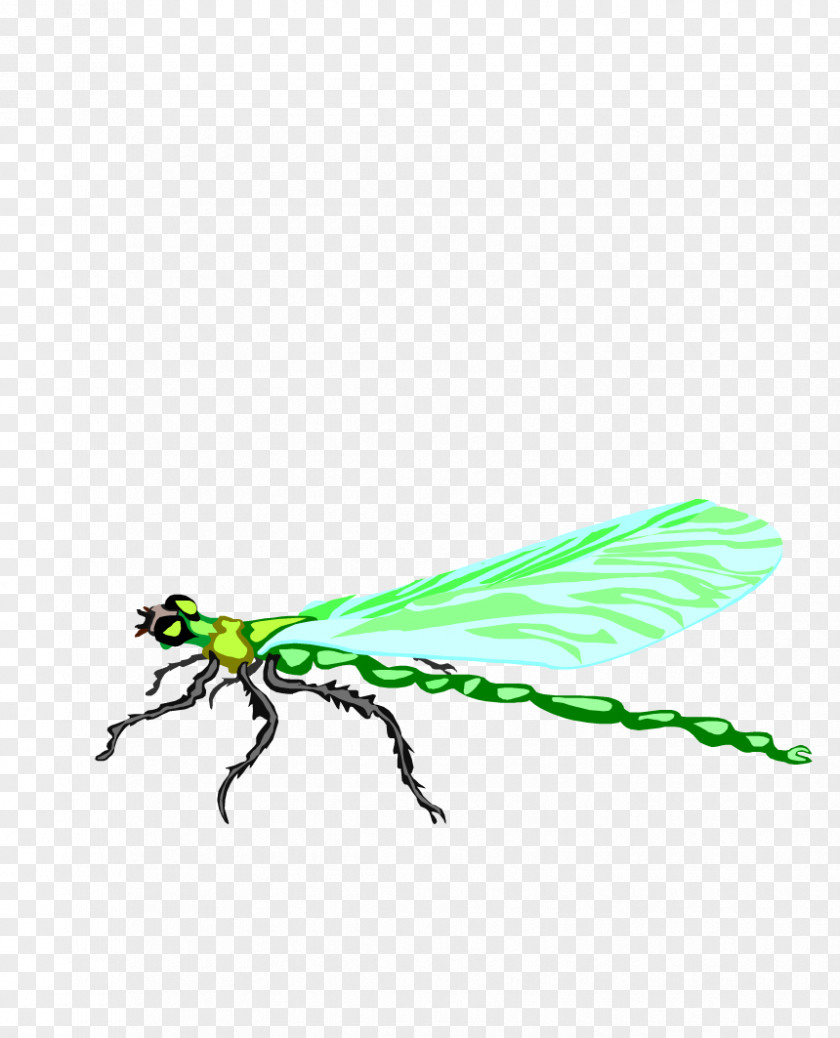 Small Hand-painted Cartoon Dragonfly Insect Animation PNG