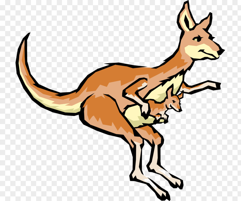 Wallaby Tail Animal Cartoon PNG