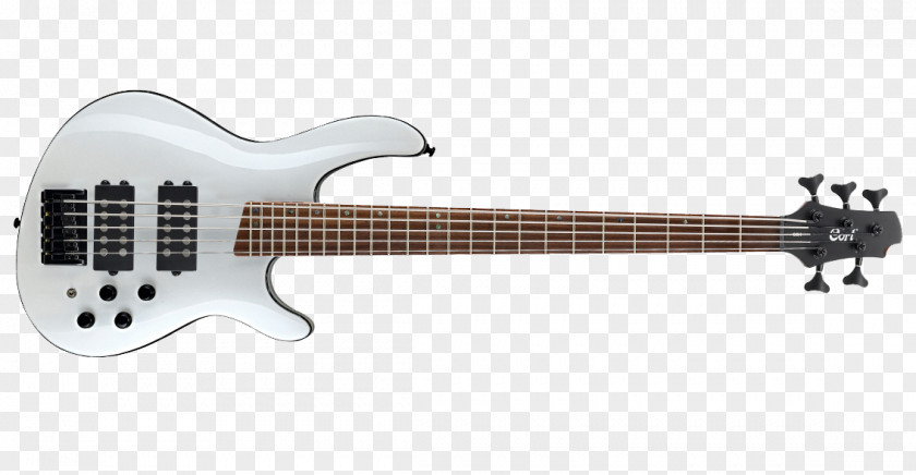 Bass Guitar Fender Precision String Instruments Fingerboard PNG