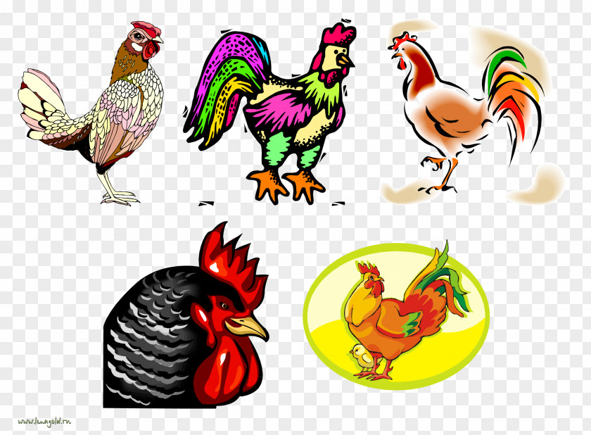 Chicken Rooster Clip Art JPEG PNG