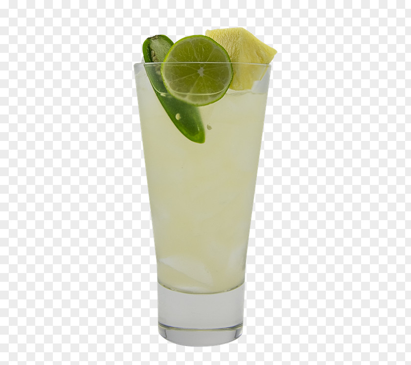 Cocktail Rickey Margarita Martini Lemonade PNG