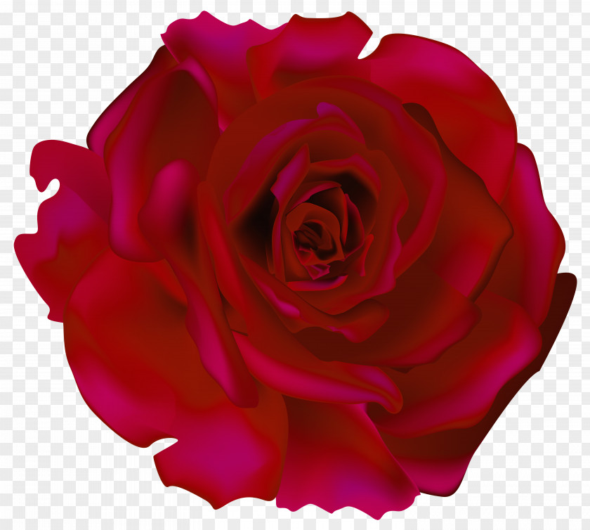 Red Rose Transparent Clip Art Picture NSTASIA If(we) Party Nails So Broke PNG