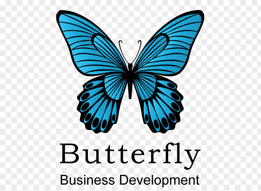 Behalf Pattern Butterfly Business Development Monarch Web Design Marketing PNG