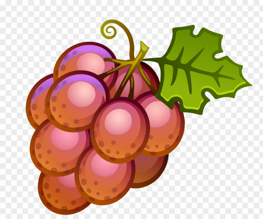 Bonbones Wine Common Grape Vine Clip Art PNG