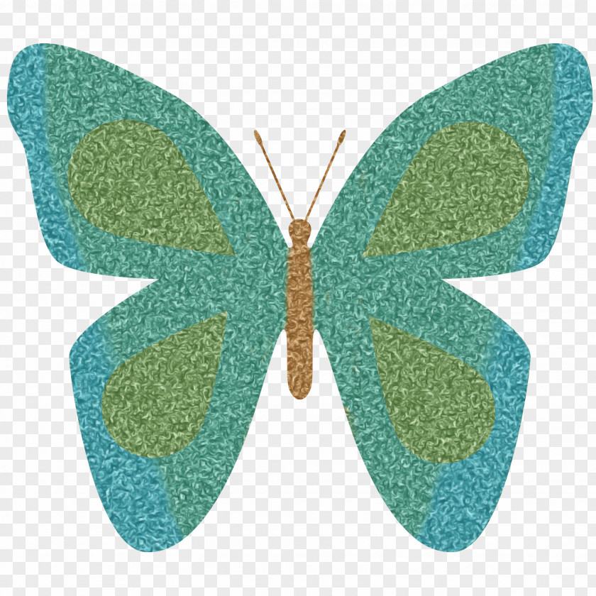 Butterfly Insect Turquoise Moths And Butterflies Aqua PNG