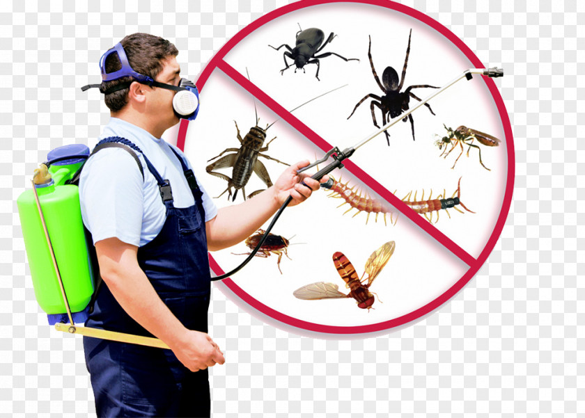 Car Service Mosquito Cockroach Pest Control Fumigation PNG