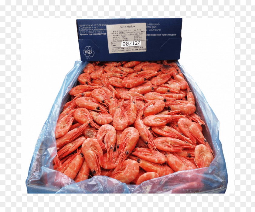 Caridea Shellfish Prawn Cocktail Seafood Kilogram PNG