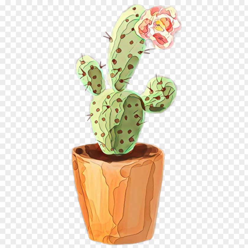 Ceramic Caryophyllales Cactus Cartoon PNG