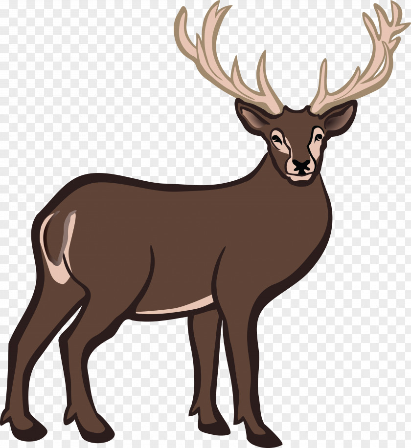 Deer Head White-tailed Reindeer Clip Art PNG