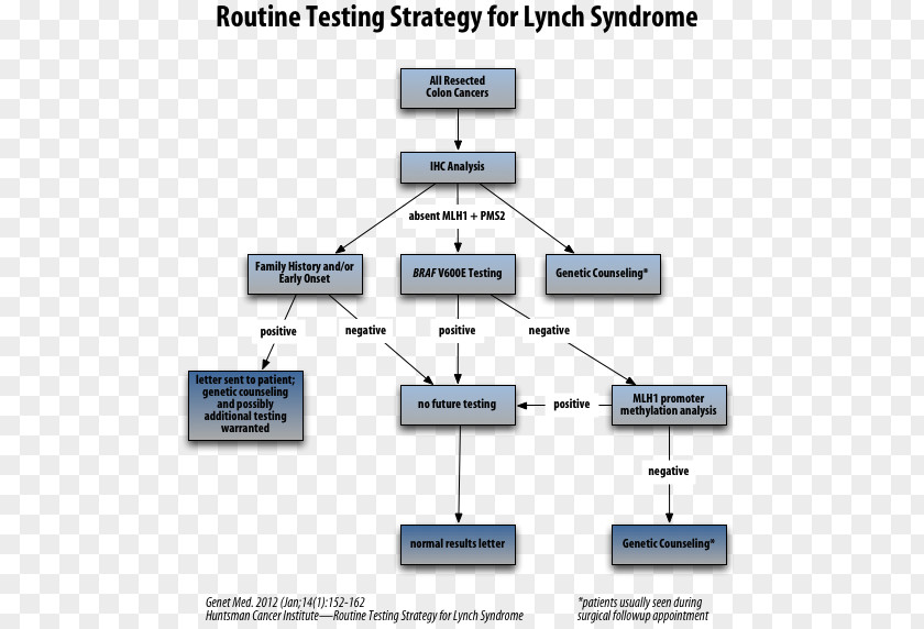 Hereditary Nonpolyposis Colorectal Cancer Endometrial MLH1 PNG