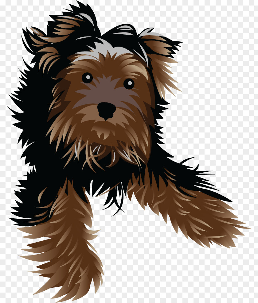 Puppy Yorkshire Terrier Cairn Companion Dog Breed PNG