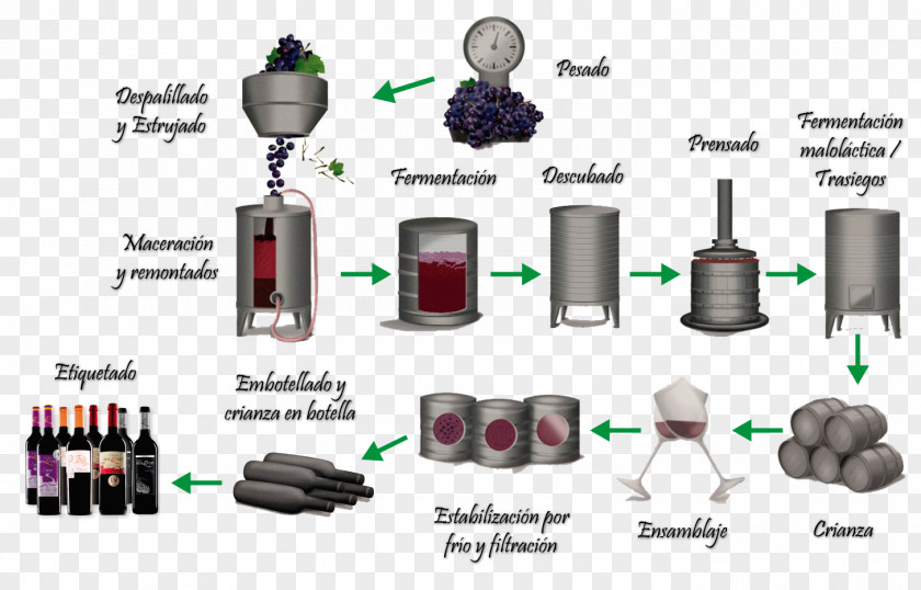 Wine Red White Fermentation In Winemaking PNG