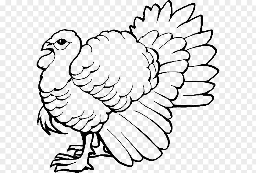 Book Coloring Turkey Drawing Child PNG