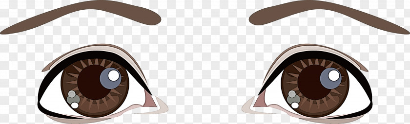 Eyewear Brown PNG