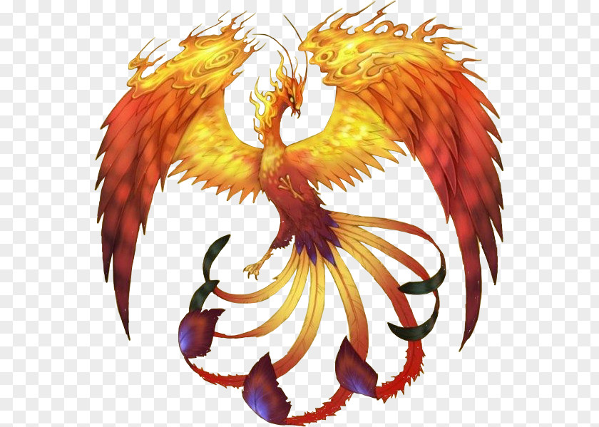 Fire Drawing Fictional Character Phoenix Legendary Creature Firebird Folklore PNG