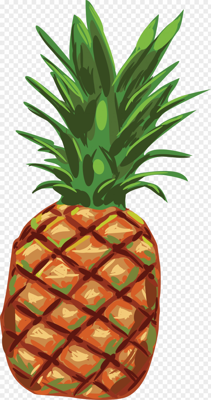 Green Hand Painted Pineapple Fruit PNG