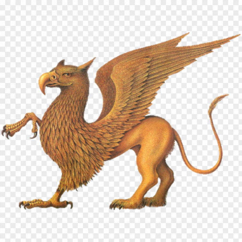 Griffin Creature Legendary Mythology Phoenix Cockatrice PNG
