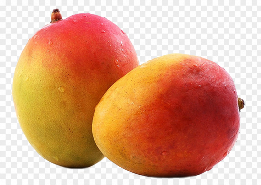 Mango Image Fruit Alphonso Ripening PNG