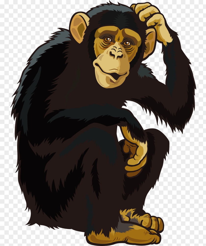 Vector Orangutan Ape Chimpanzee Monkey PNG