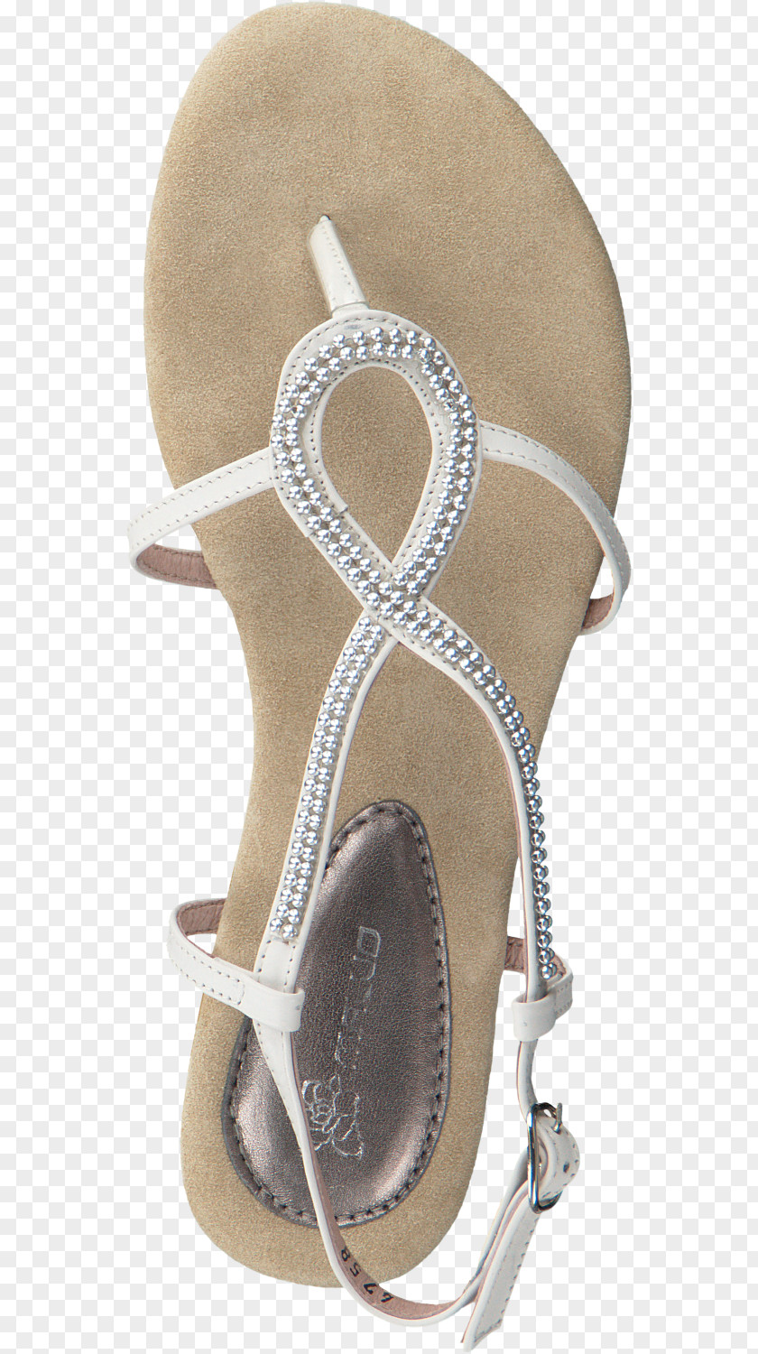 White Flat Shoes For Women Sandal Flip-flops Shoe Leather PNG