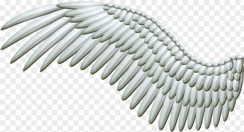 Wings Angel Clip Art PNG