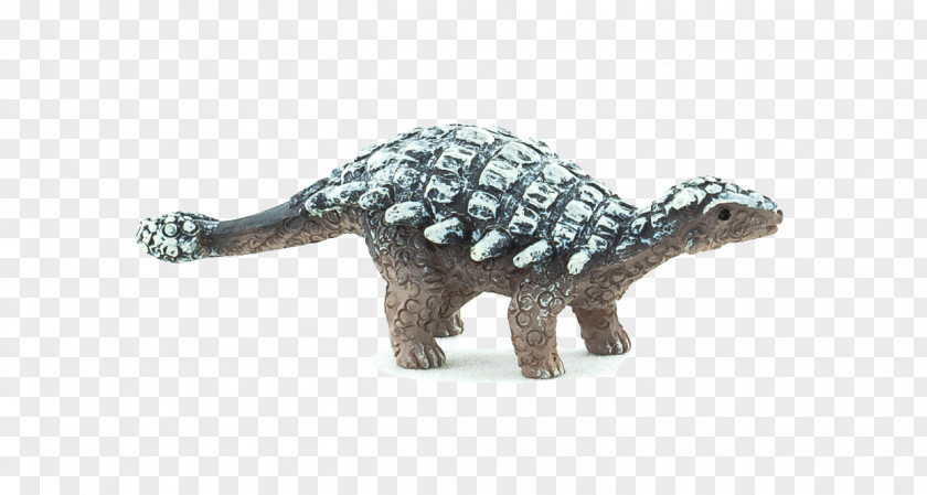 Brachiosaurus Ankylosaurus Tyrannosaurus Dinosaur Velociraptor Triceratops PNG