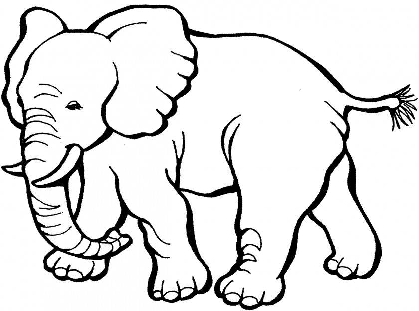 Elephant Cliparts Coloring Book Child Page PNG