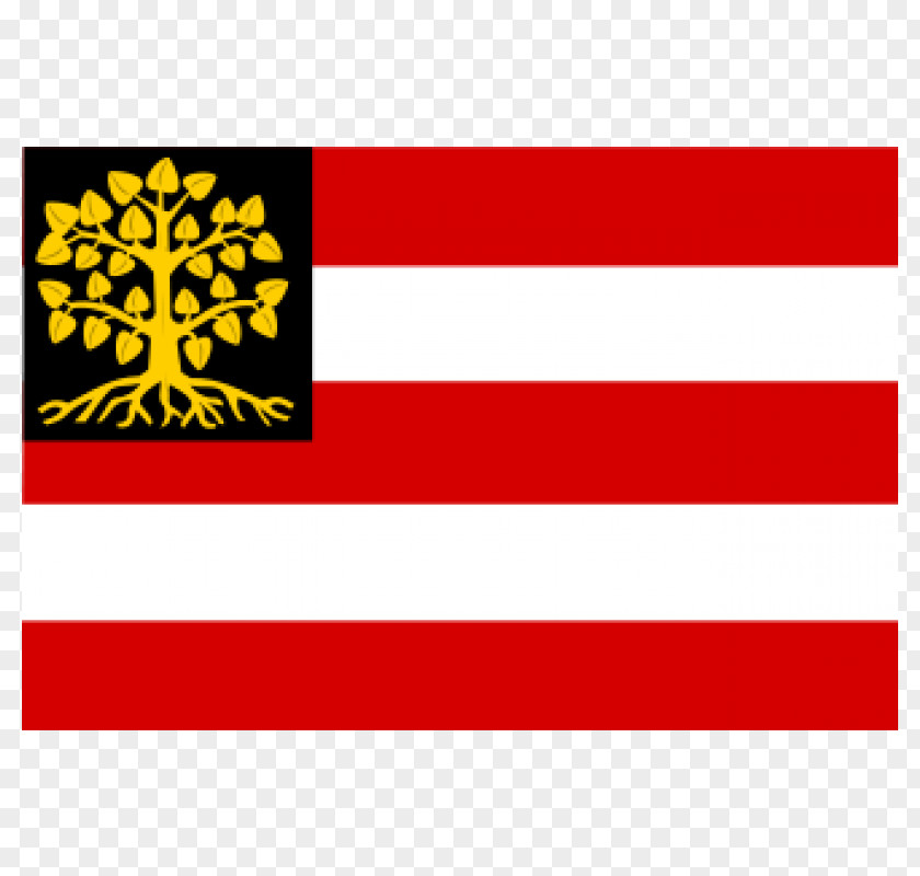 Flag Vlag Van 's-Hertogenbosch Naarden PNG