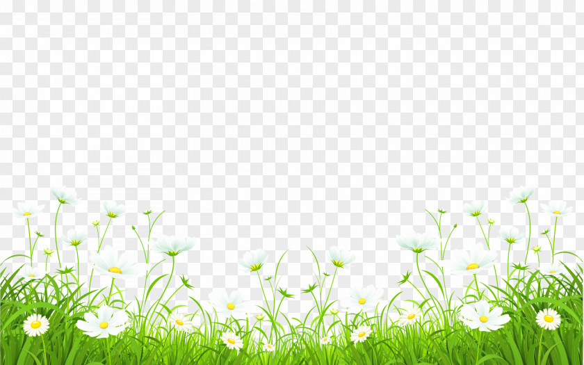 Grass And Flowers PNG and flowers clipart PNG