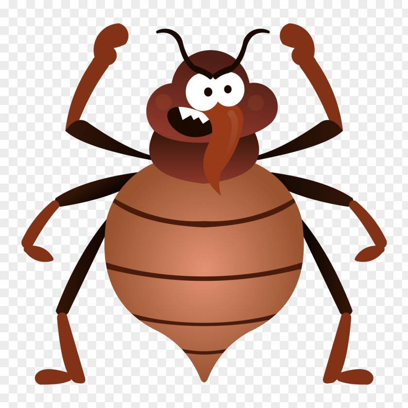 M17 Insect Cartoon Vector Graphics Image Illustration PNG