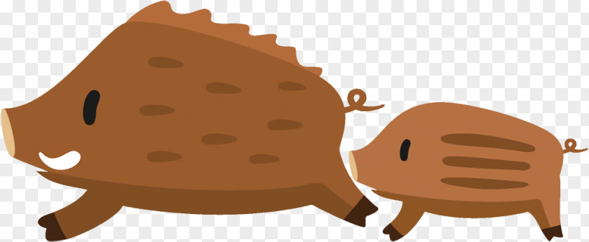 Tortoise Turtle Clip Art PNG