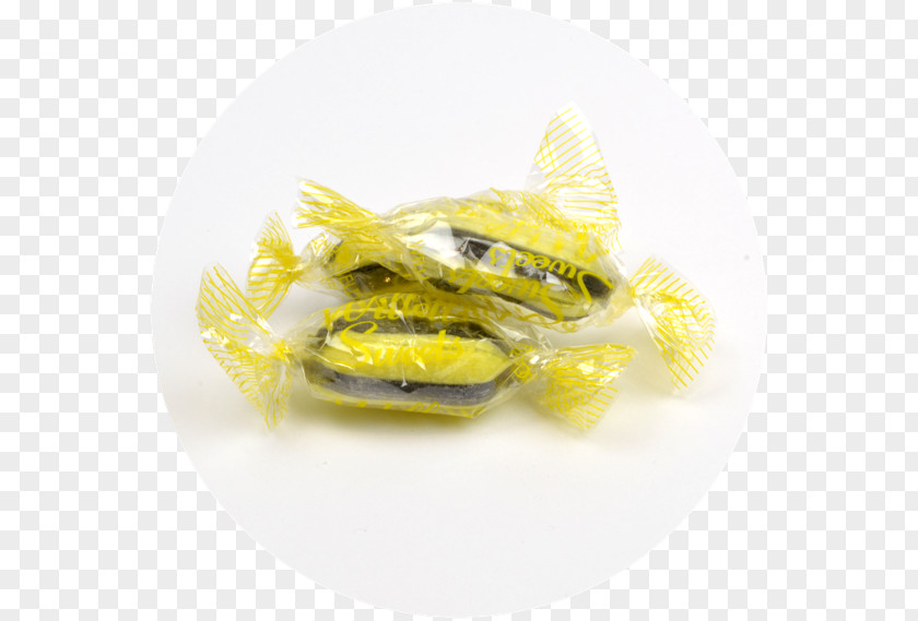 Aniseed Liquorice Sugar Anise Ingredient Candy PNG