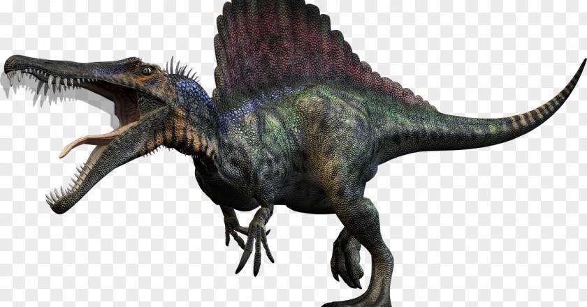 Dinosaur Tyrannosaurus Spinosaurus Size Giganotosaurus Triceratops PNG