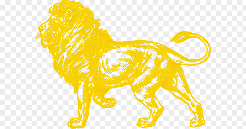 Lion Golden Tamarin Aslan Clip Art PNG
