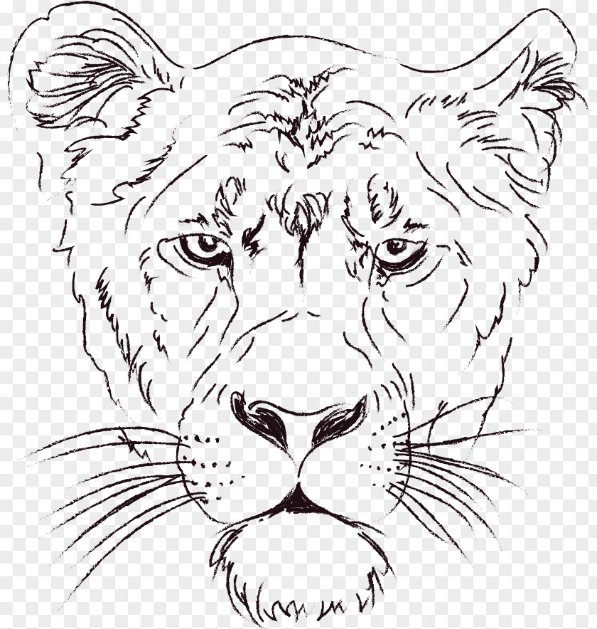 Lion Lionhead Rabbit Coloring Book Tiger PNG