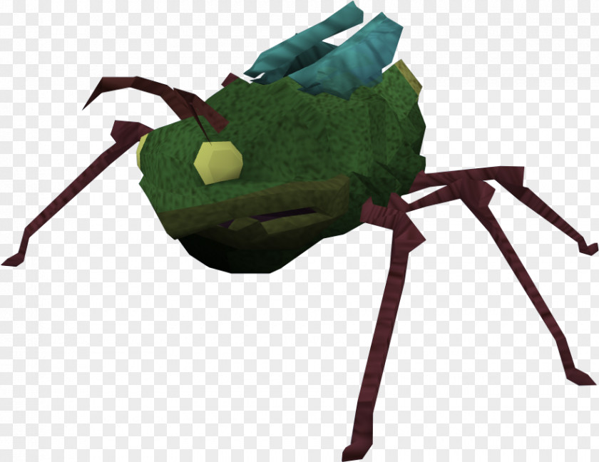 Pond RuneScape Insect Water Striders Wiki Video Game PNG