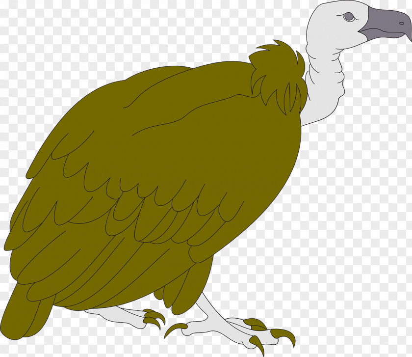 Running Ostrich Bird Turkey Vulture Clip Art PNG