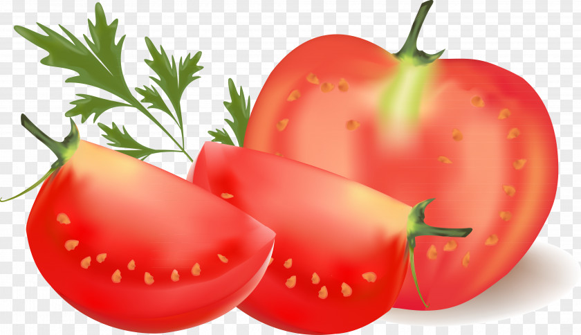 Tomato Cherry Vegetable Clip Art PNG