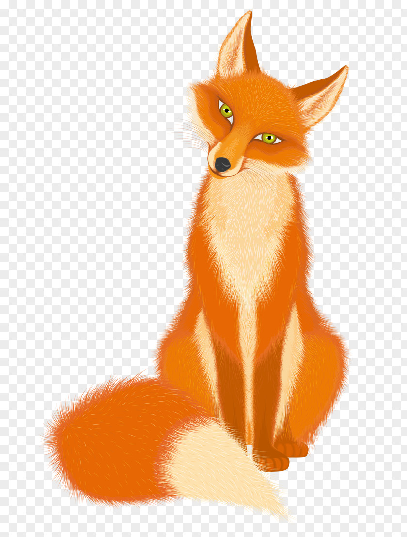 Transparent Cartoon Fox Picture Red Illustration PNG